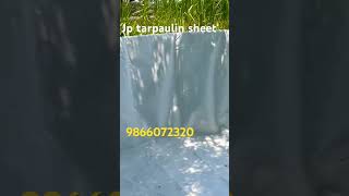 Biofloc fish tank 9866072320 tarpaulinsheet biofloctanksyoutudeshots ternding subscribe [upl. by Euqinahs]