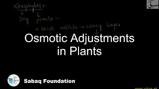 Osmotic Adjustments in Plants Biology Lecture  Sabaqpk [upl. by Acisej553]