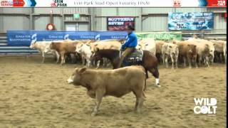 DRIVING MISS DREAMER Todd Graham WINNER Open Futurity 2014 NCHA Victorian Futurity [upl. by Diao]