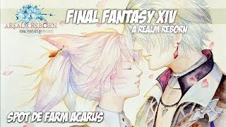 Spot de Farm Acarus  Guide Final Fantasy 14 [upl. by Elpmet45]