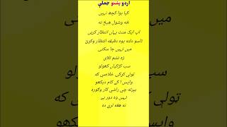 urdu pashto phrases hindi [upl. by Croteau]