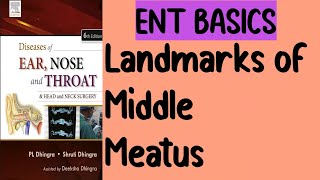 Landmarks of Middle meatus  Osteomeatal complex  Part 7  Nose [upl. by Lletnahc]