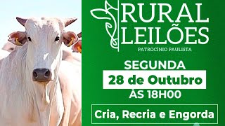 ✅📌 Leilão Presencial e Virtual Rural Leilões  Patrocínio PaulistaSP [upl. by Leonteen544]