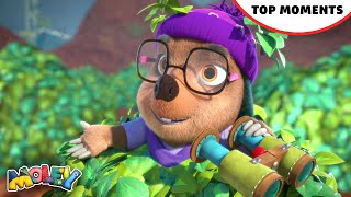 Dottys Top Mystery Solving Moments 🔎  Best of Moley  moley kidstv animatedseries cartoons [upl. by Mathia826]