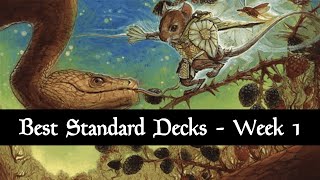 Best Standard Decks  Meta Review  August 2024  Bloomburrow  Week 1  MTG Arena [upl. by Connie]