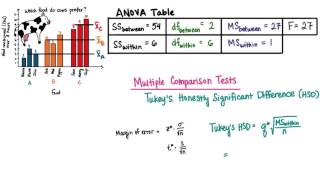 Multiple Comparison Tests [upl. by Stock]