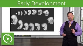 Embryology Introduction amp Early Stages  Lecturio [upl. by Yetah394]