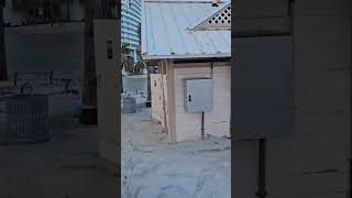 Hurricane Helene  Clearwater Beach Island FL  BeachwalkPublic Restroom Engulfed with Sand [upl. by Eudora]