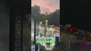 Stephan Bodzin Live Central Park New York City djset travelmusic nycevents newyorkcity [upl. by Elleraj]