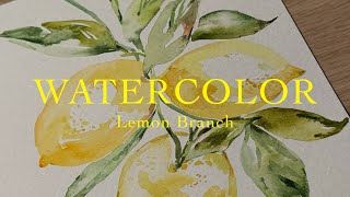 Lemon Branch Watercolor Study [upl. by Triley]