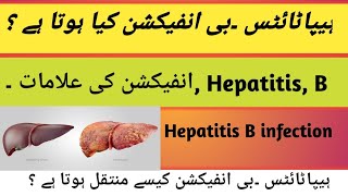 Hepatitis B infection kia hota Hy  Hepatitis B infection ki Aalamaath kia hy  transmission [upl. by Still]