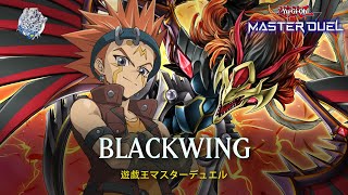 Blackwing  Crow Hogan  Blackwing Full Armor Master  Ranked Gameplay YuGiOh Master Duel [upl. by Acinad]