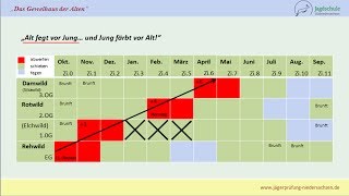 Jägerprüfung Niedersachsen Das Geweihaus der Alten [upl. by Farly899]