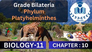 Grade Bilateria Phylum Platyhelminthes Class 11  Chapter 10 Biology [upl. by Ifok]