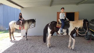 CRIANÇA ANDANDO DE CAVALO PASSEIO NA TRILHA COM GOPRO CAVALO MANGALARGA MARCHADOR [upl. by Crawley]