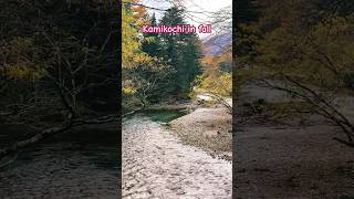 Visit japan kamikochi fall japanlife 川 riverside nature 自然 秋 fallcolor fallvibes 🍁 [upl. by Rutan]