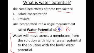 Intro to Water Potential [upl. by Esilrahc]