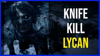 How to Kill A Lycan with Knife in Resident Evil Village  Tough But Possible [upl. by Egarton]