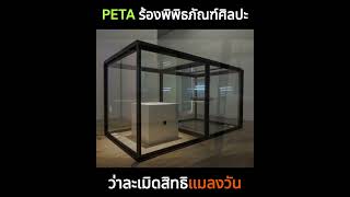 เมื่อ PETA ร้องเรียนพิพิธภัณฑ์ให้เอางานศิลปะออก เพราะละเมิดสิทธิแมลงวัน [upl. by Trebmer]