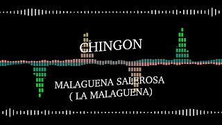 Chingon  Malagueña Salerosa Lyrics [upl. by Ziana655]