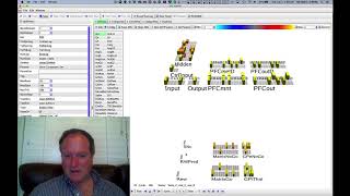 CCN Course 2020 Executive Function 4 PBWM Model and the SIR Task [upl. by Nitsed]