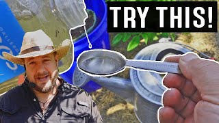 This Simple Gardening Trick Turns Poor Draining Soil Into Well Draining Soil [upl. by Oynotna]