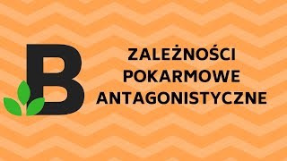 zależności pokarmowe antagonistyczne EKOLOGIA  ekologia  KOREPETYCJE z BIOLOGII  139 [upl. by Htial617]