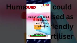 Transforming URINE into Eco Friendly Fertilizer for Crops [upl. by Trey]