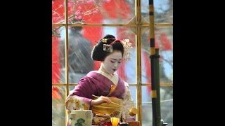 Baikasai 梅花祭 Geisha Plum Blossom Tea Festival [upl. by Ntsyrk]