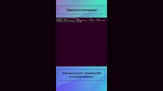 Docker Interaction Commands Part 03 devops linux docker command TiniTone foryou viral fyp [upl. by Nyliac383]