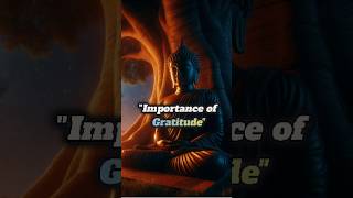 Importance Of Gratitude🙏  Practice Gratitude 😊shorts gratitude viral trending [upl. by Cazzie]