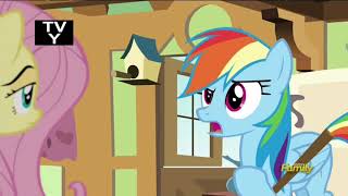 MLP Season 6 Episode 11  Flutter Brutter Full Episode [upl. by Bergess]