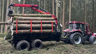 Eigenbau Rückewagen wieder im Volleinsatz I Frage Antwort im Wald [upl. by Deyas443]