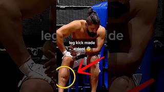 ‼️leg kick made a dent shorts trending mma onechampionship ufc sports [upl. by Trenna]