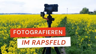 Fotografieren im Rapsfeld  4 Tipps für schöne Fotos  Fotografieren lernen  herfurthfoto raps [upl. by Dymphia]