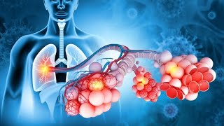 Respiratory system and alveolar gas exchange [upl. by Niuqaoj]