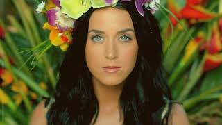 Katy Perrys Roar Drums and Bass Karaoke Version with Lyrics RhythmRemakes [upl. by Huebner720]