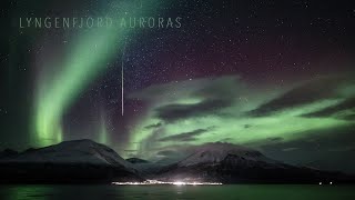 Lyngenfjord Auroras October 2020 [upl. by Aihceyt]