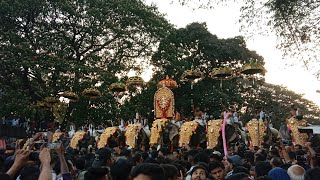 മണപ്പുള്ളിക്കാവ് വേല മഹോത്സവം🔥തിരുവമ്പാടി ചന്ദ്രശേഖരൻ  MANAPULLIKAVU VELA 2023 🔥 [upl. by Fitz732]