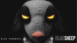 Blac Youngsta  Alleged Official Visualizer [upl. by Aleksandr]