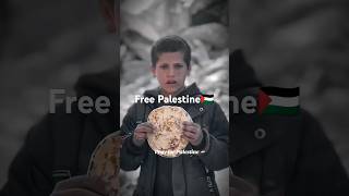 Free Palestine🇵🇸🇵🇸palestinefreepalestinefreefreepalestine [upl. by Petes410]