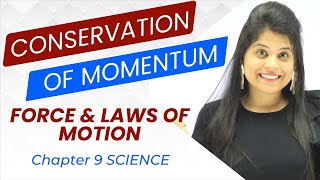 Conservation of Momentum  Chapter 9  Force And Laws Of Motion  Class 9 Science [upl. by Arst590]