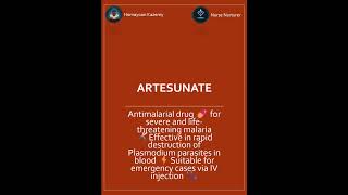 Artesunate Antimalarial drug for severe malaria 💊🦟⚡ nursing drug Artesunate antimalarial [upl. by Cly]