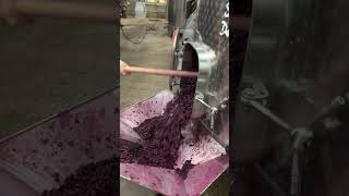 After maceration the grapes are prepared for pressing 🍇😍domainegrivot [upl. by Anawqahs242]