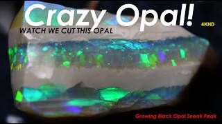 Crazy opal cutting 3 patterns revealed we had no idea black opal growing sneak peak [upl. by Yobybab]