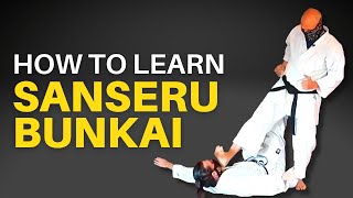 Basic Bunkai for Sanseru Goju Ryu [upl. by Anaerol]