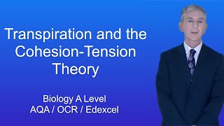 A Level Biology Revision quotTranspiration and the CohesionTension Theoryquot [upl. by Rianna27]