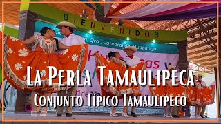 Conjunto Típico Tamaulipeco  La Perla Tamaulipeca [upl. by Tammy]