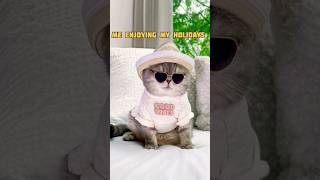 Like everytime 😭😭 cat funny best trending youtube shorts video [upl. by Annahsit]