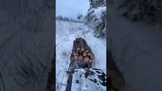 Skandic widetrack hauling wood [upl. by Nomaj]